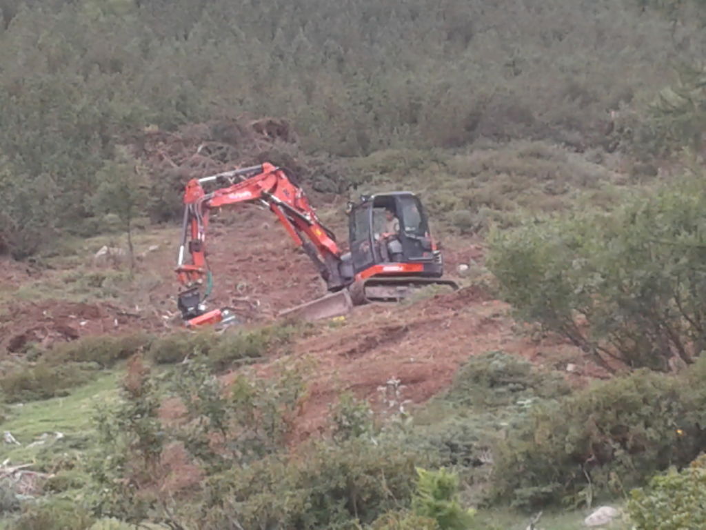 Weidesanierung Lavazzé Sommer 2019 Weidesanierung Lavazzé Sommer 2019