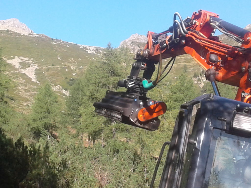 Weidesanierung Lavazzé Sommer 2019 Weidesanierung Lavazzé Sommer 2019